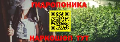 прущие крисы Пушкино