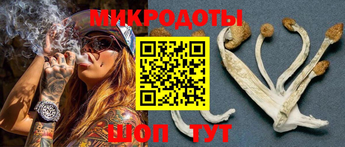 Сорочинск  Галлюциногенные грибы мицелий  Псилоцибиновые грибы Cubensis  Вход с VPN 